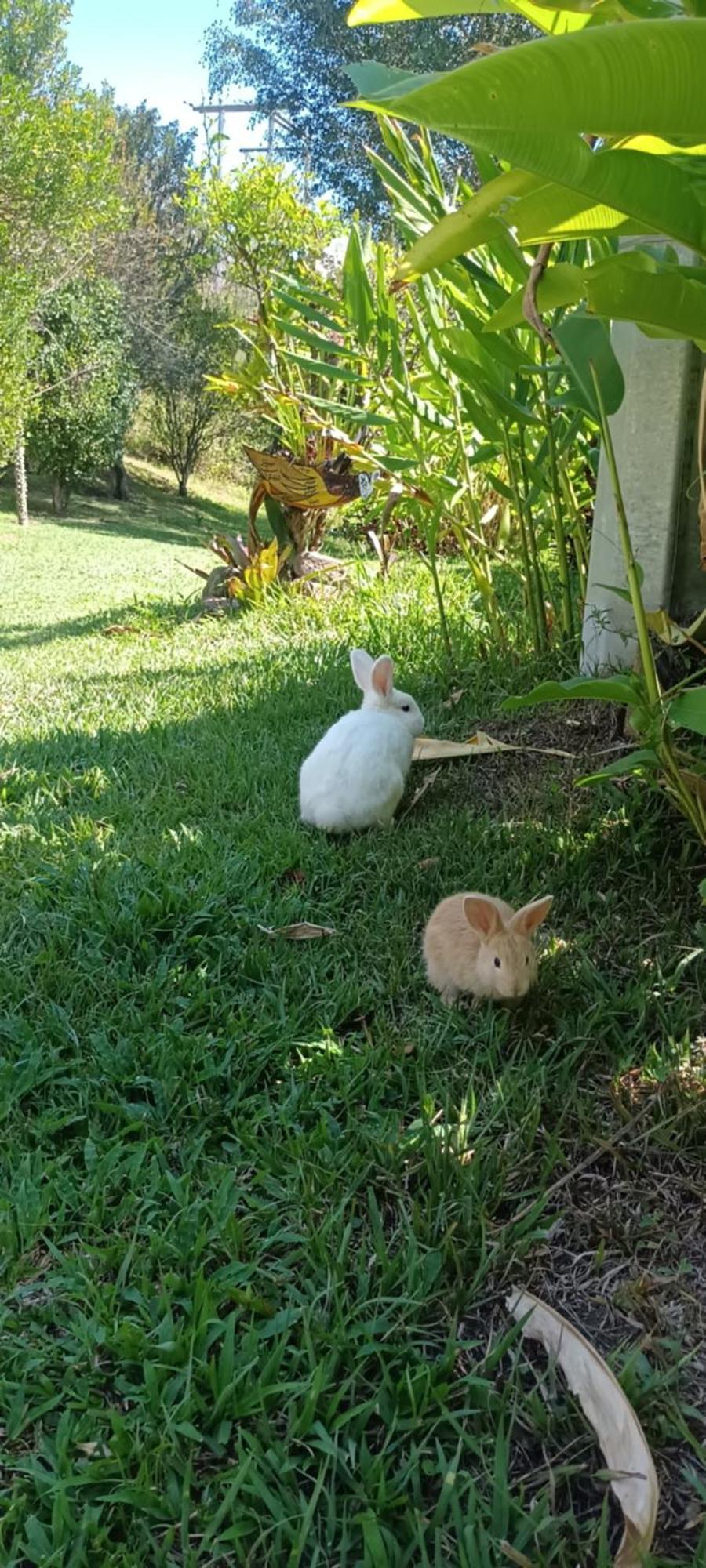 Skale Peregrino Guest House Choachi Bagian luar foto